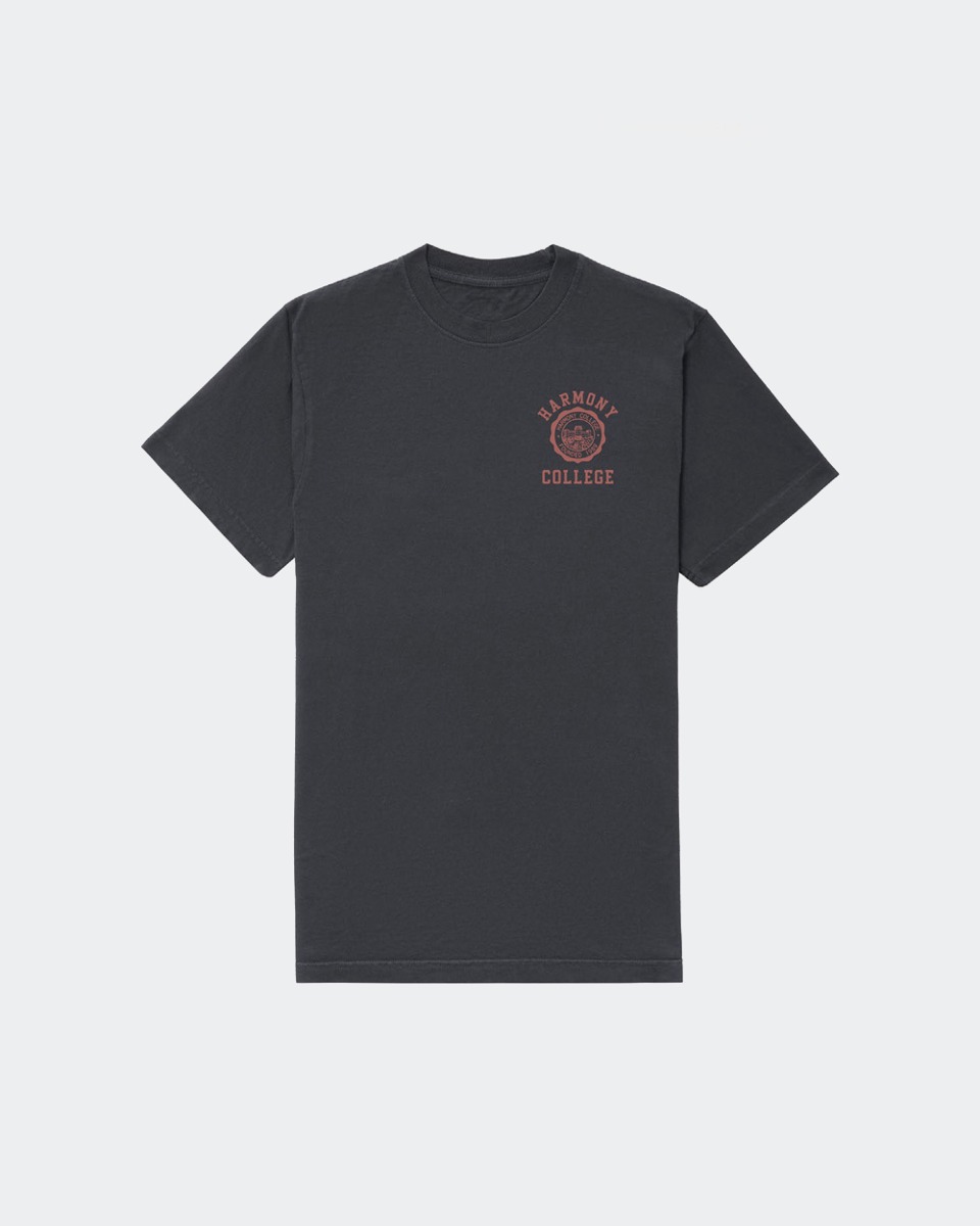 T-Shirt College Emblem_Slate